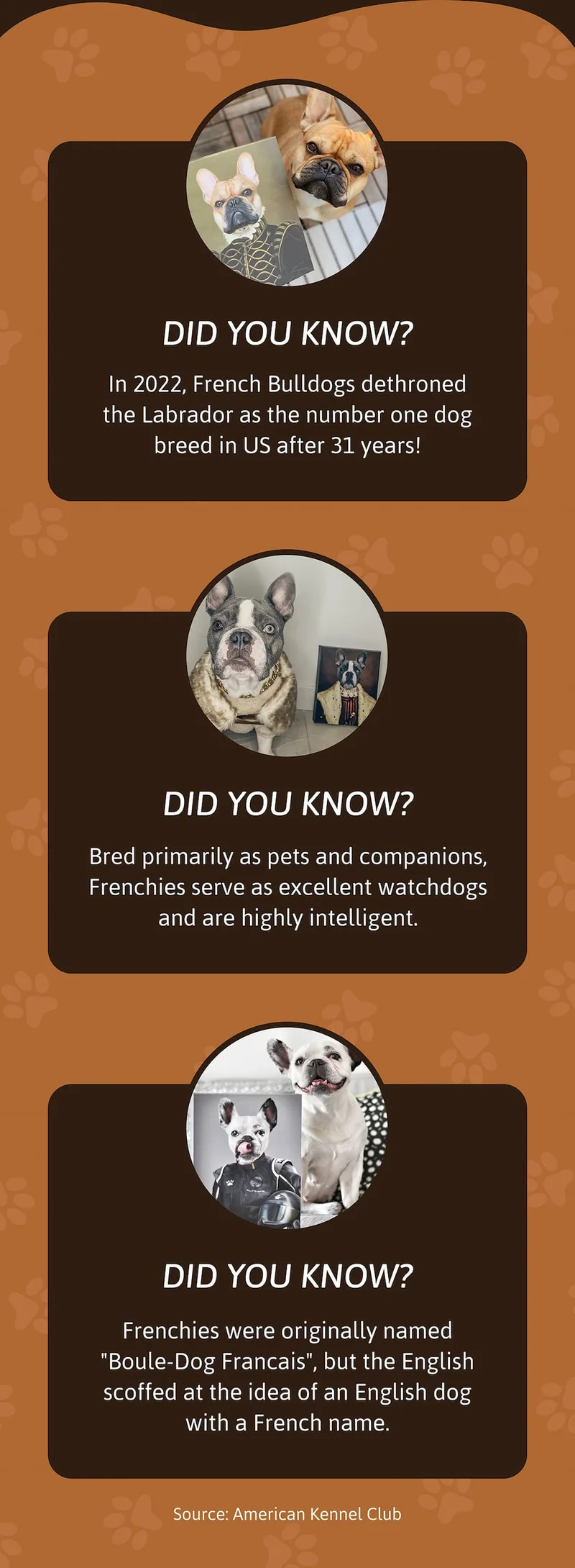 Did you know? In 2022, French Bulldogs dethroned the Labrador as the number one dog breed in US after 31 years!  Did you know? Bred primarily as pets and companions, Frenchies serve as excellent watchdogs and are highlt intelligent.  Did you know? Frenchies were originally named "Boule-Dog Francais", but the English scoffed at the idea of an English dog with a French name.  Source: American Kennel Club
