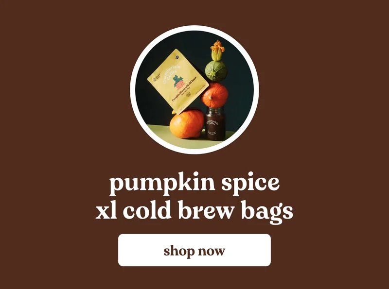 pumpkin spice cold brew bags