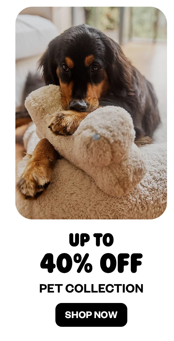 UP TO 40% OFF PET COLLECTION