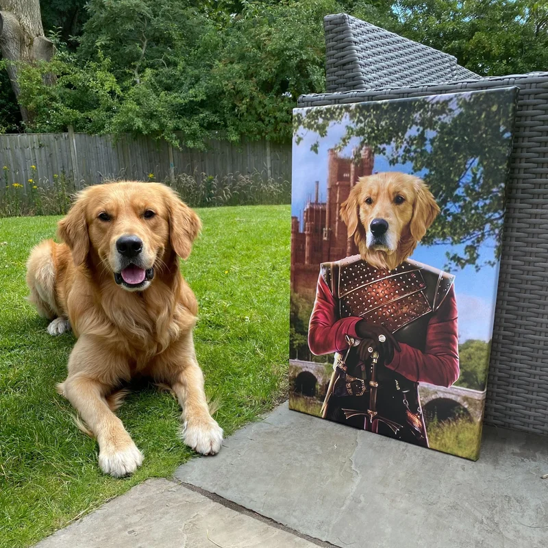 Image of The Dragon Prince - Custom Pet Canvas