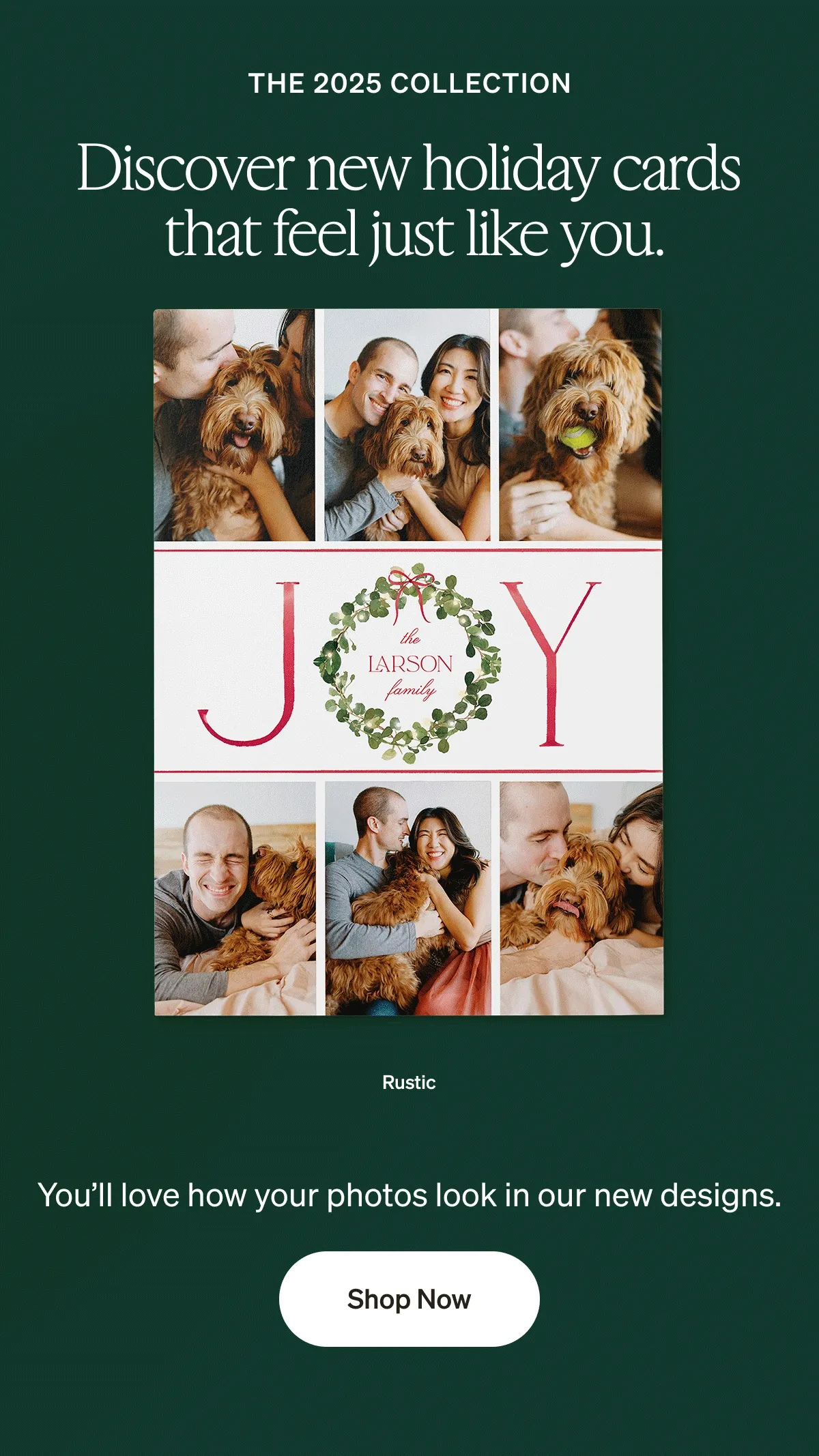 Friends & Family Sale - 50% off your entire order + Free Recipient Addressing on Holiday Cards