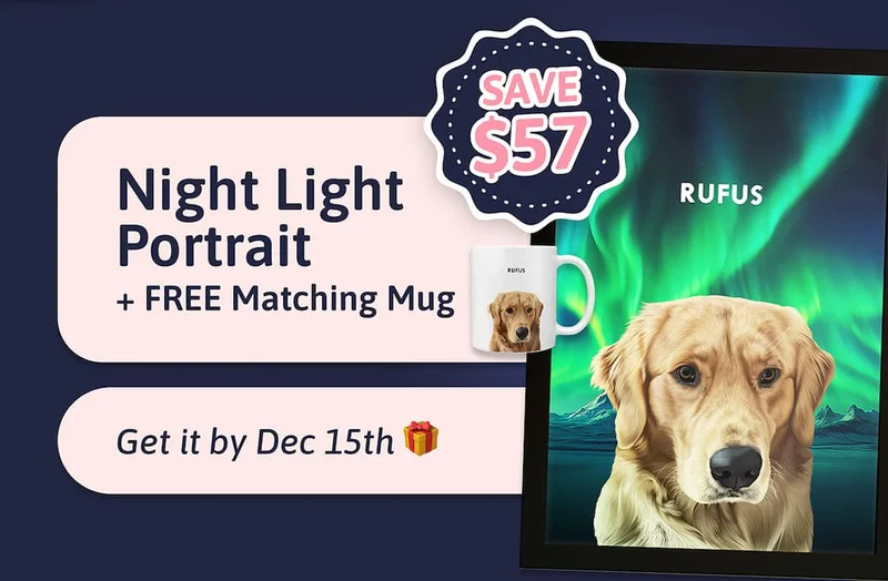 Night Light Portrait + FREE Matching Mug SAVE $57 Get it by Dec 15th