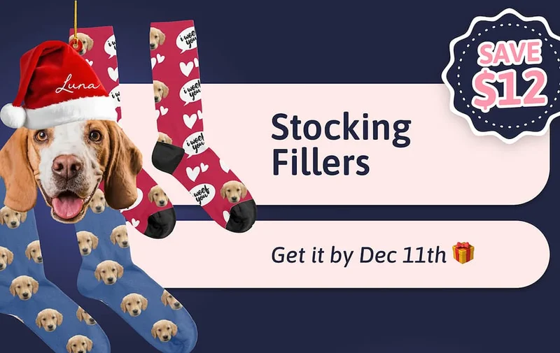 Stocking Fillers SAVE $12 Get it by Dec 13th