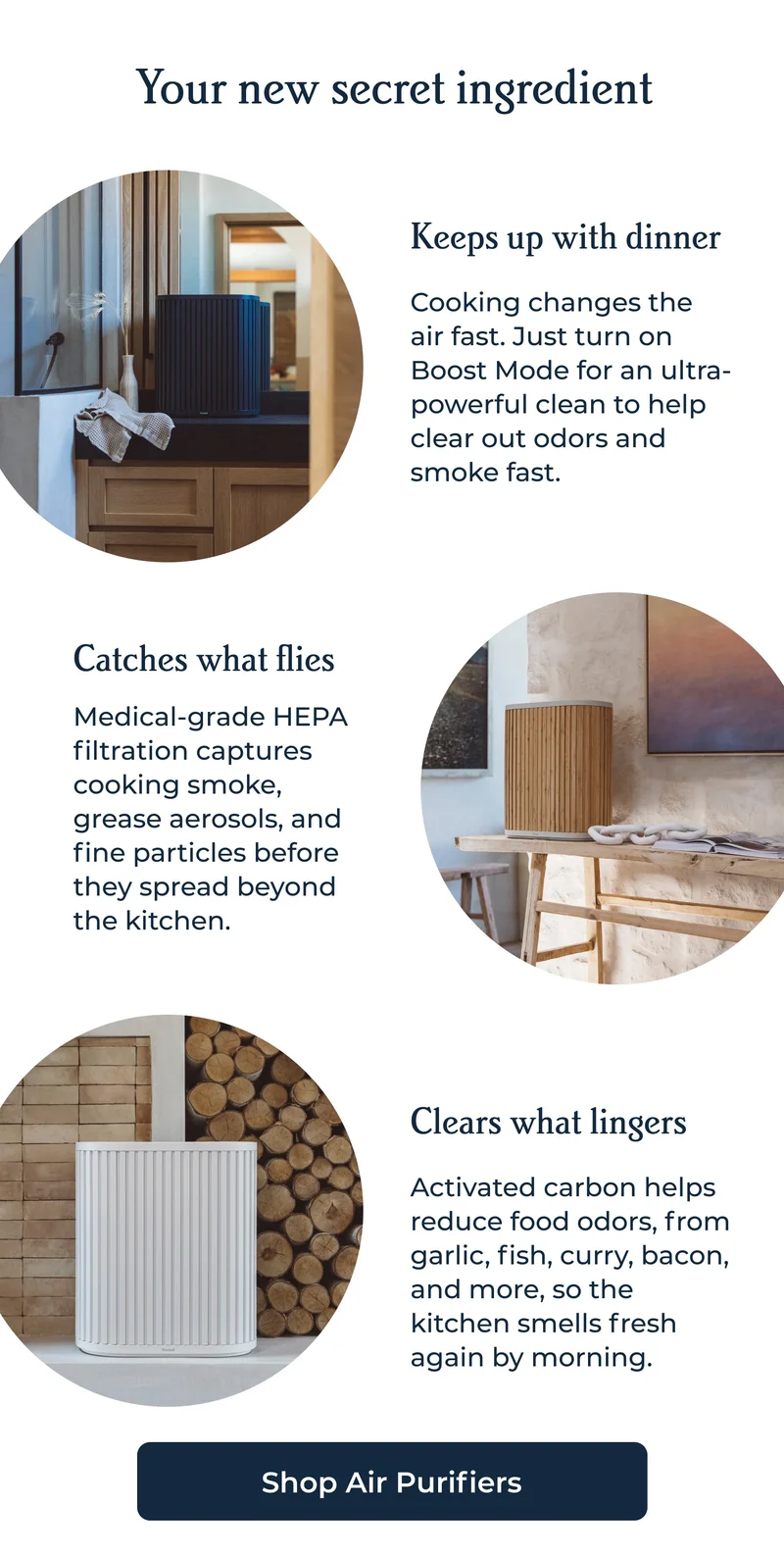 The Air Purifier