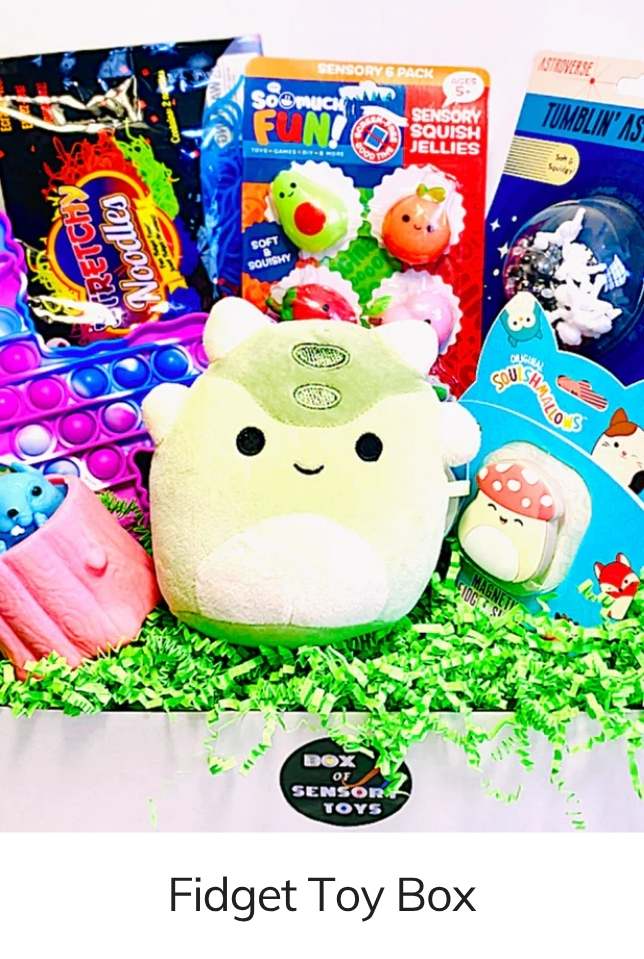 Box of Sensory Toys