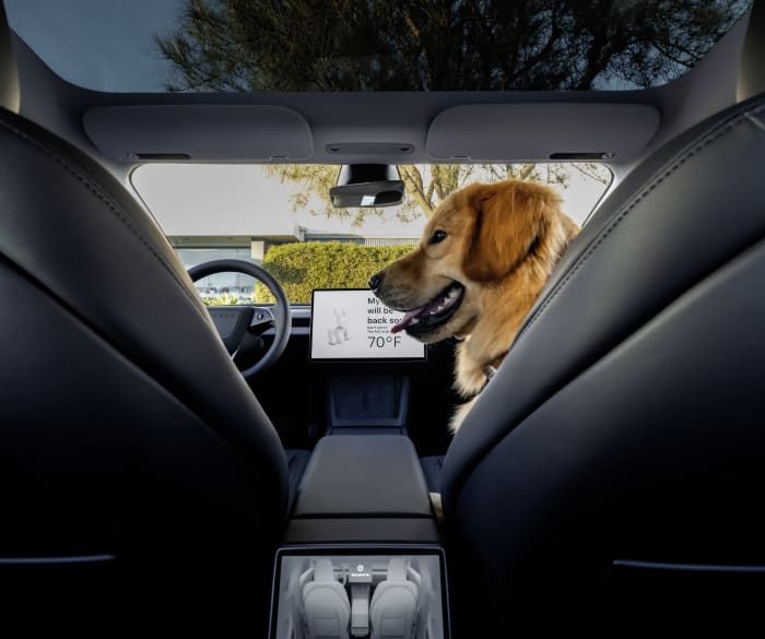 Tesla