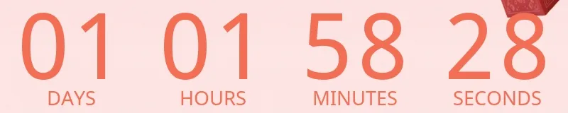 Countdown Timer