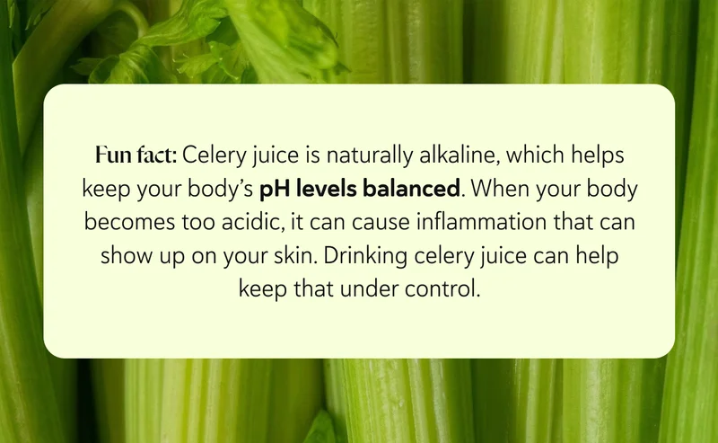 Fun fact: Celery juice is naturally alkaline, which helps keep your body’s pH levels balanced.