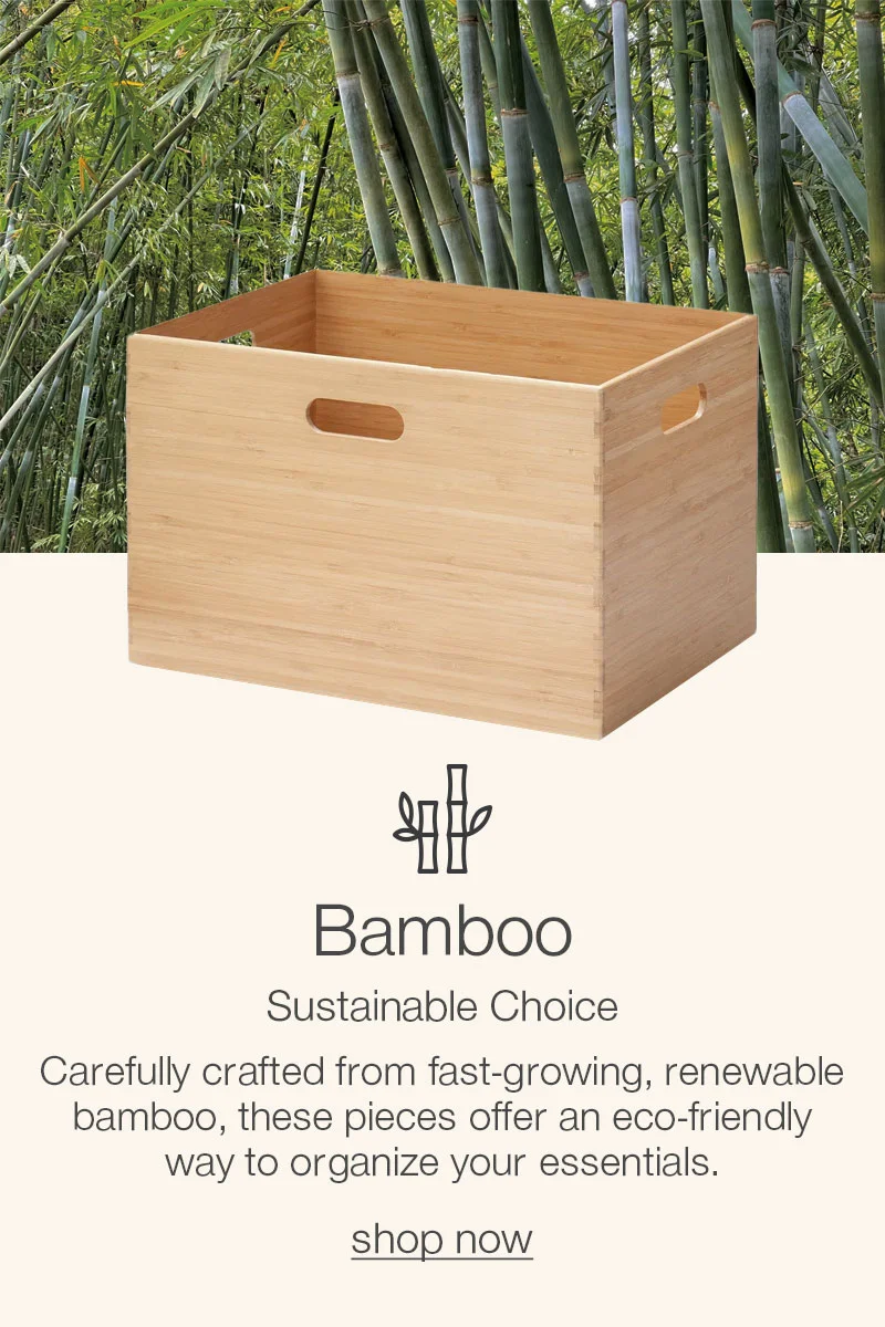 Shop Bamboo Storage