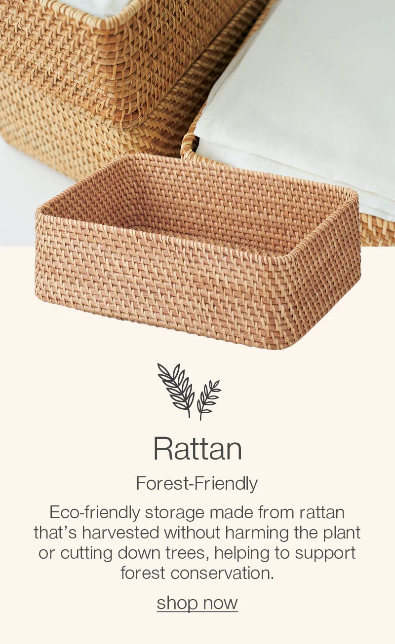 Shop Rattan Basket Storage