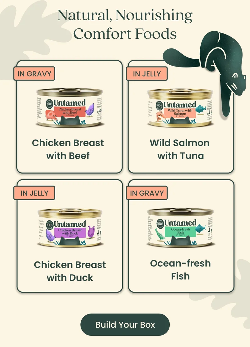 Build Your Box