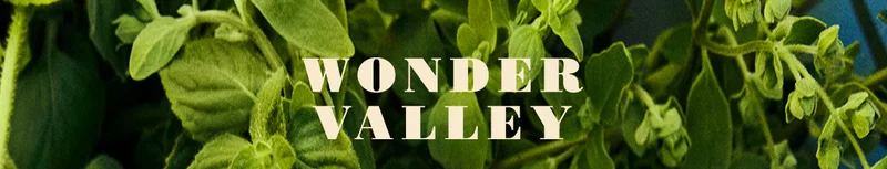 WONDER VALLEY