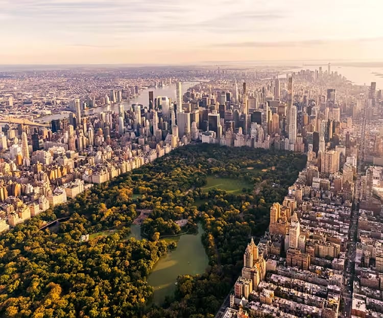 Book a last-minute flight, for less