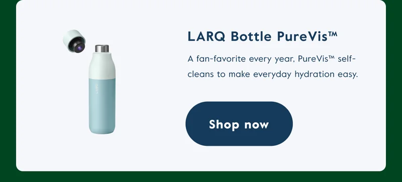 LARQ Bottle PureVis™