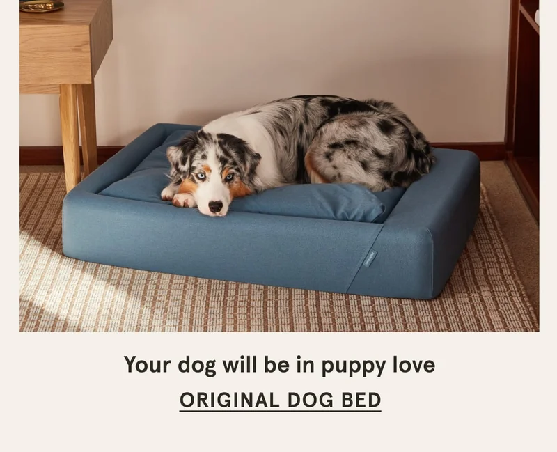 Original Dog Bed