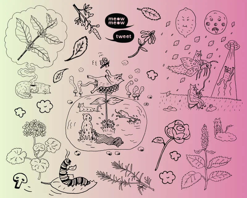 A collage of black line animal and plant drawings with the Meow Meow Tweet Logo in the top center.