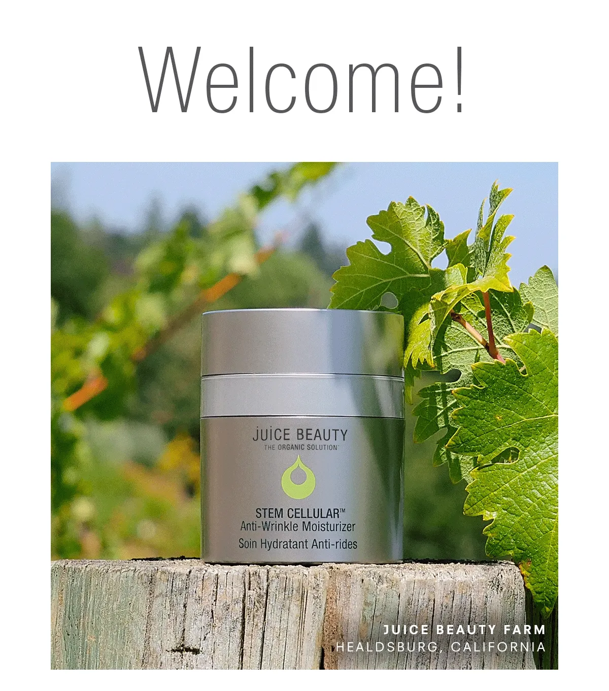 Welcome