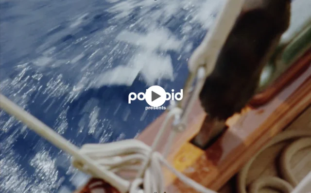 For the Imperfectionist