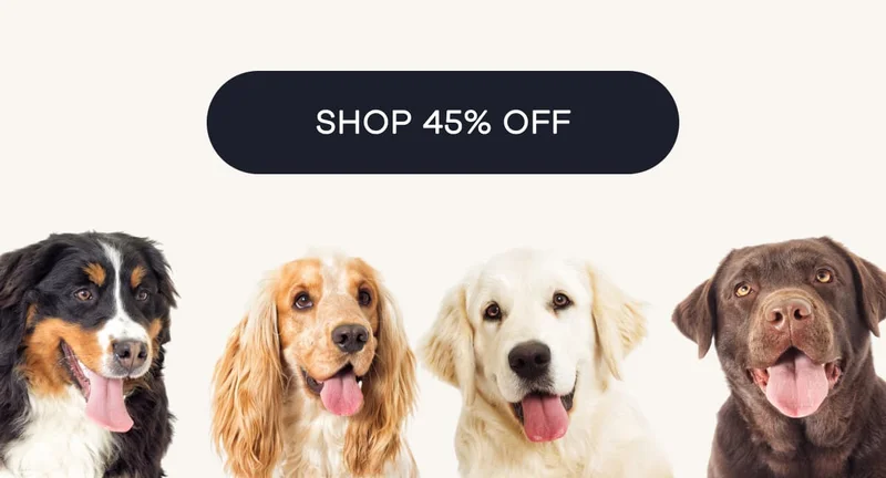 SHOP 45% OFF