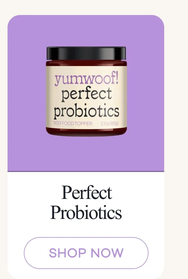 Perfect Probiotics | shop now