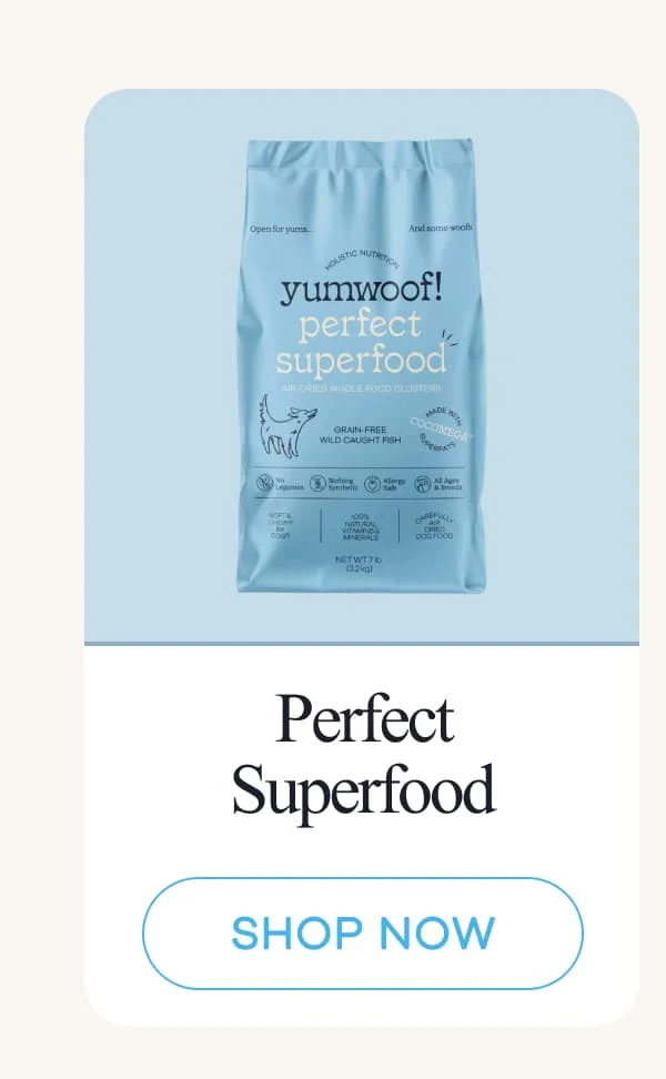 Perfect Superfood | shop now