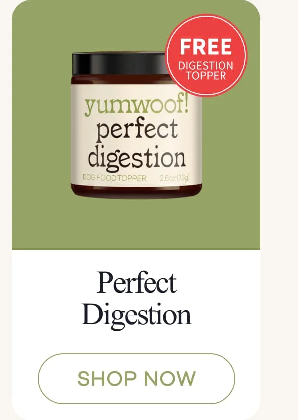 Perfect Digestion | shop now
