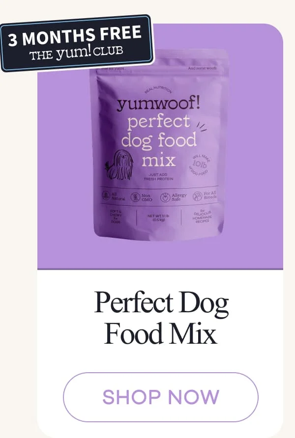 Perfect Dog Food Mix | shop now