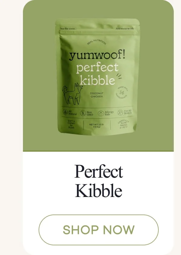 Perfect Kibble | shop now