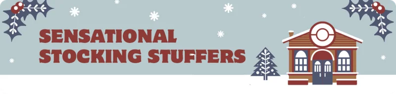 Sensational Stocking Stuffers ›