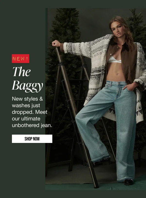 The Baggy Shop Now