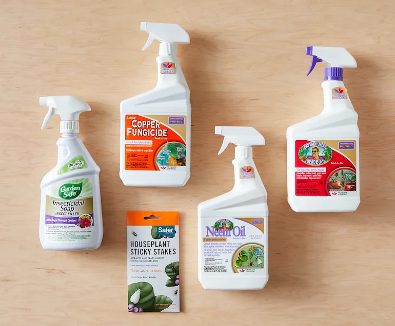 plant care bundle