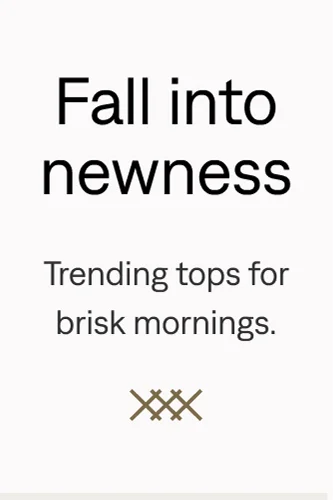 New Fall Tops
