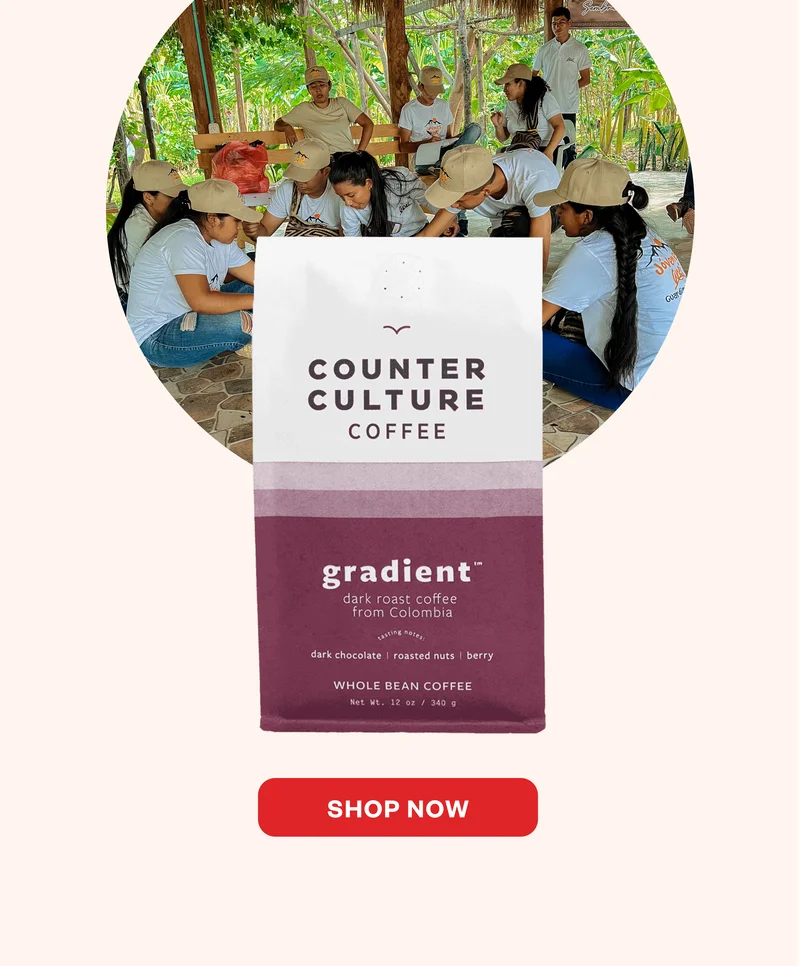 Gradient SHOP NOW Gradient SHOP NOW