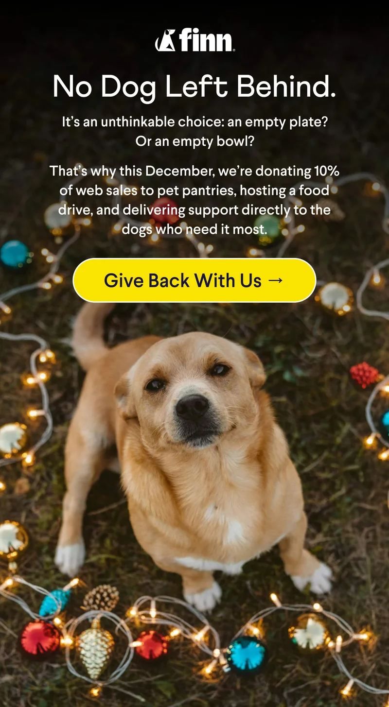 Finn logo. Text: No Dog Left Behind. It’s an unthinkable choice: an empty plate? Or an empty bowl? That’s why this December, we’re donating 10% of web sales to pet pantries, hosting a food drive, and delivering support directly to the dogs who need it most. CTA: Give Back With Us →