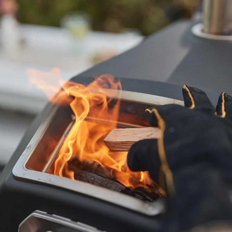 Multi-fuel flexibility
