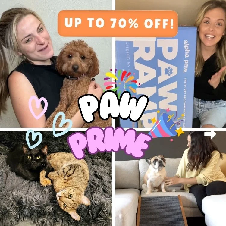 Paw Prime Surprise Sale