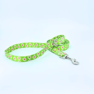 40% Off Select Dog Collars & Leashes