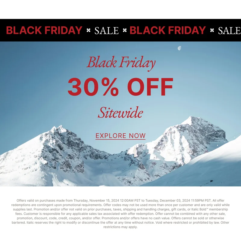 Black Friday Sale