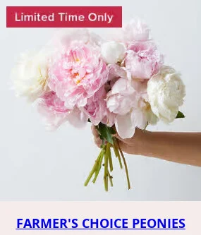 Flowers At a Great Price