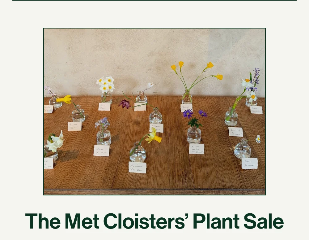 The Met Cloisters' Plant Sale