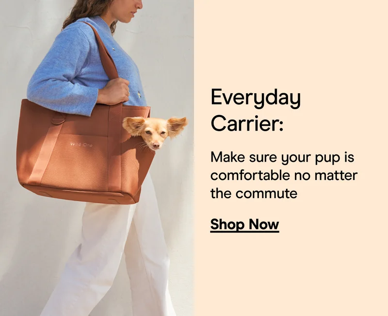 Everyday Carrier: Make sure your pup is comfortable no matter the commute Shop Now