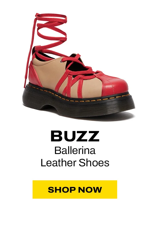 Buzz Ballerina Leather Shoes