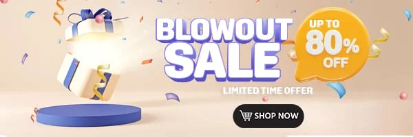 Blowout Sale 2024