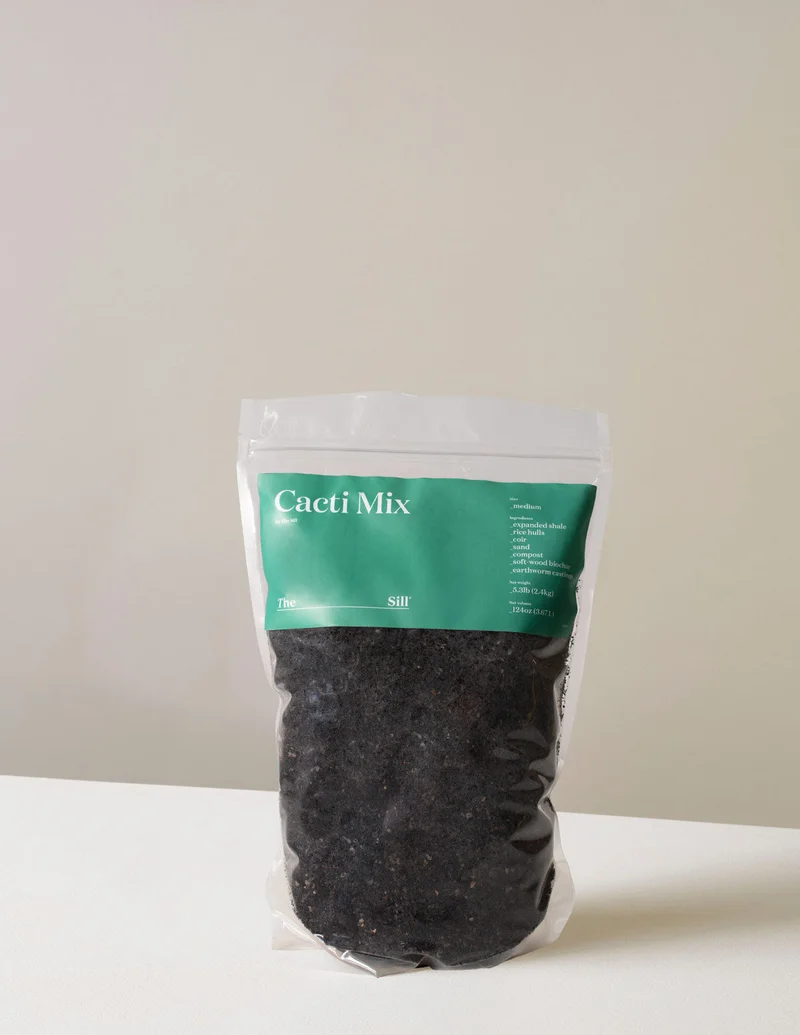 Image of Organic Cacti Mix