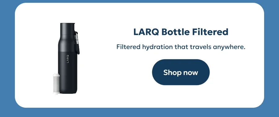LARQ Bottle Filtered