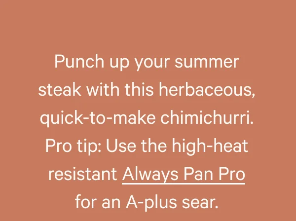 Shop Always Pan Pro