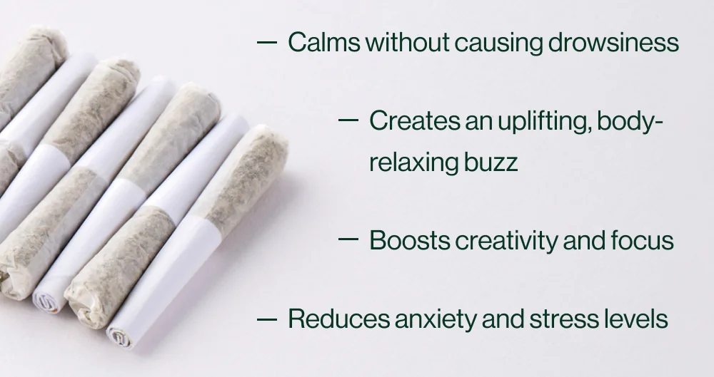calm down and reduce anxiety