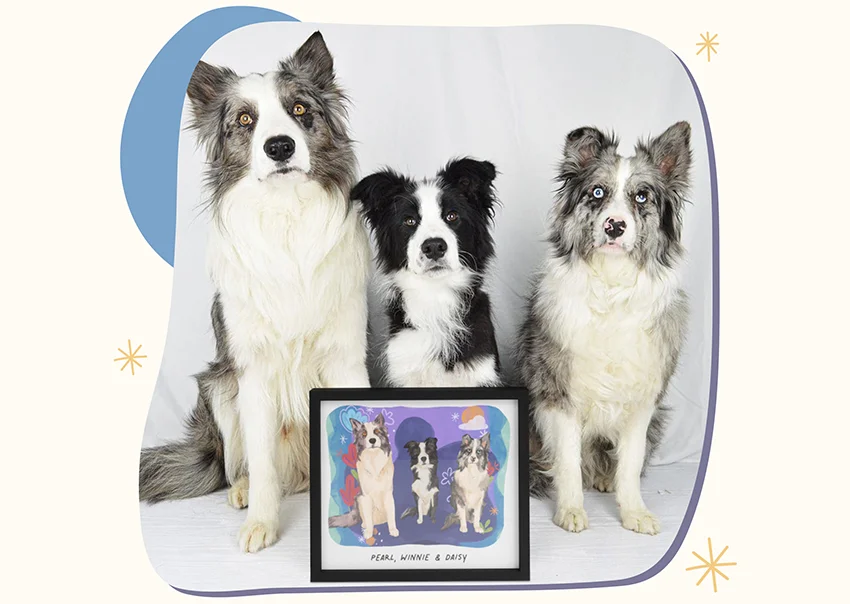Three pet premium portrait customer photo