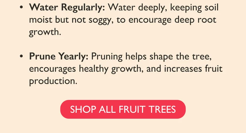 Shop All Fruit Trees