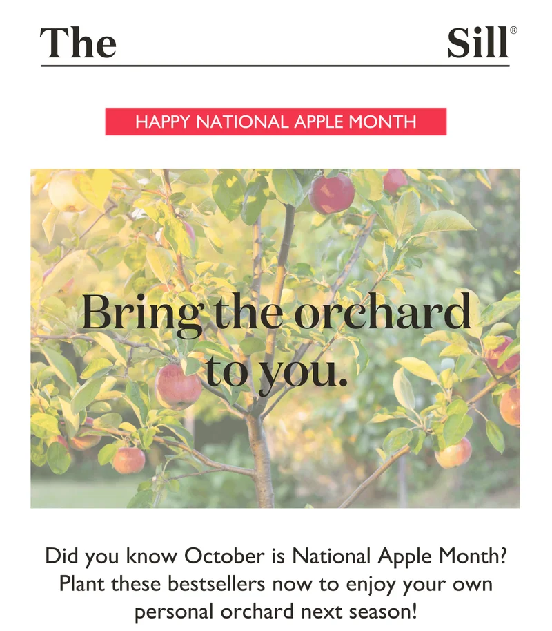 Did you know October is National Apple Month? Plant these bestsellers now to enjoy your own personal orchard next season!